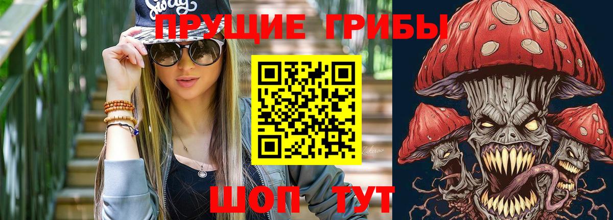 Псилоцибиновые грибы GOLDEN TEACHER Изобильный